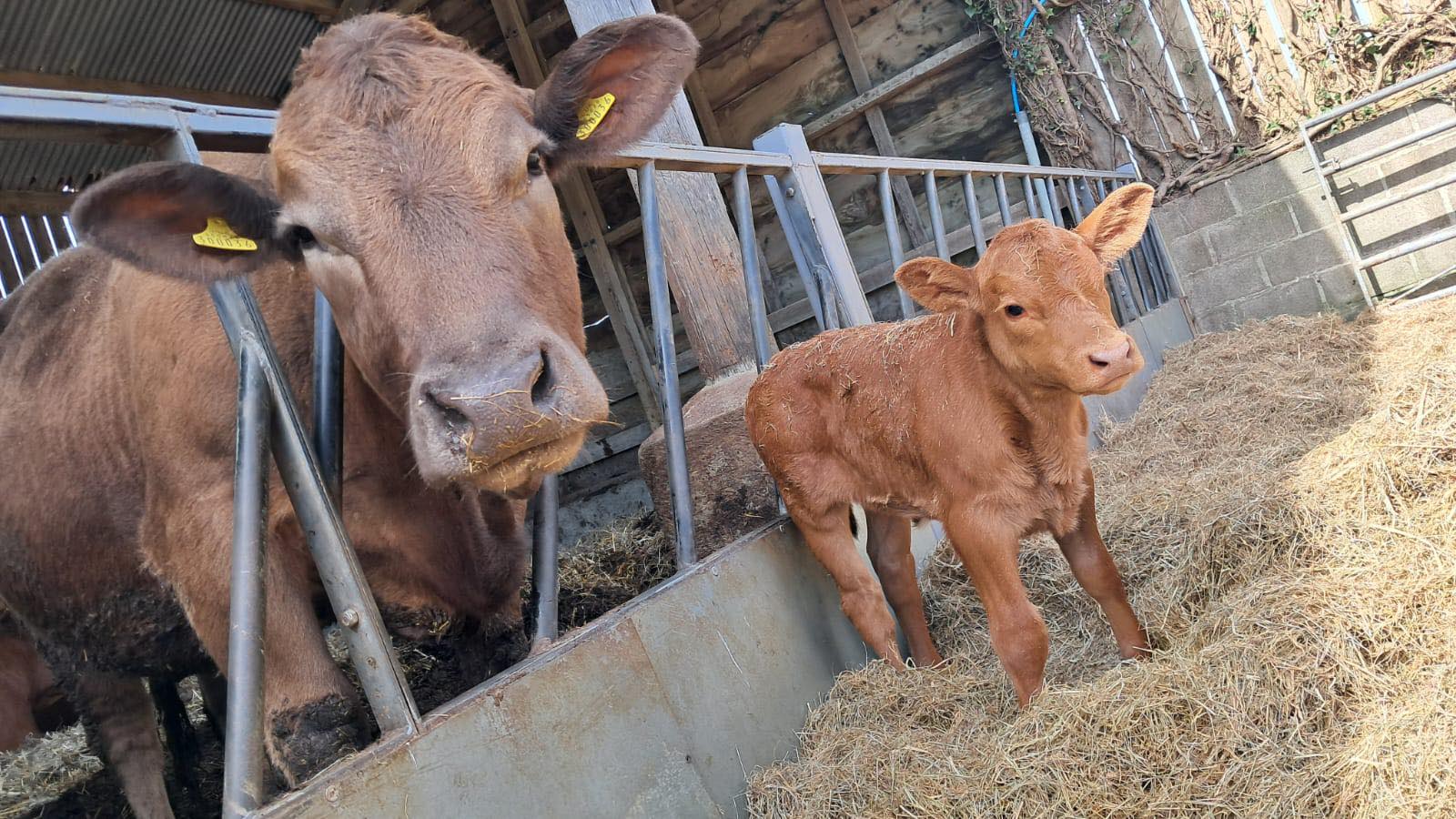 486760578_1095061842662254_4117360681158656519_n