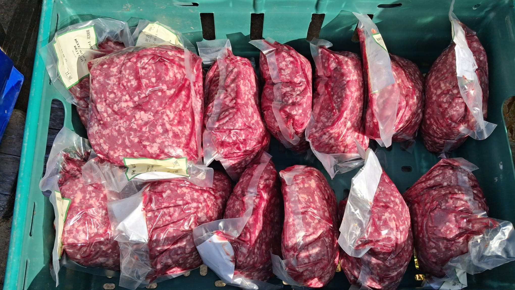 WhatsApp Image 2025-10-07 at 16.38.59 (1)