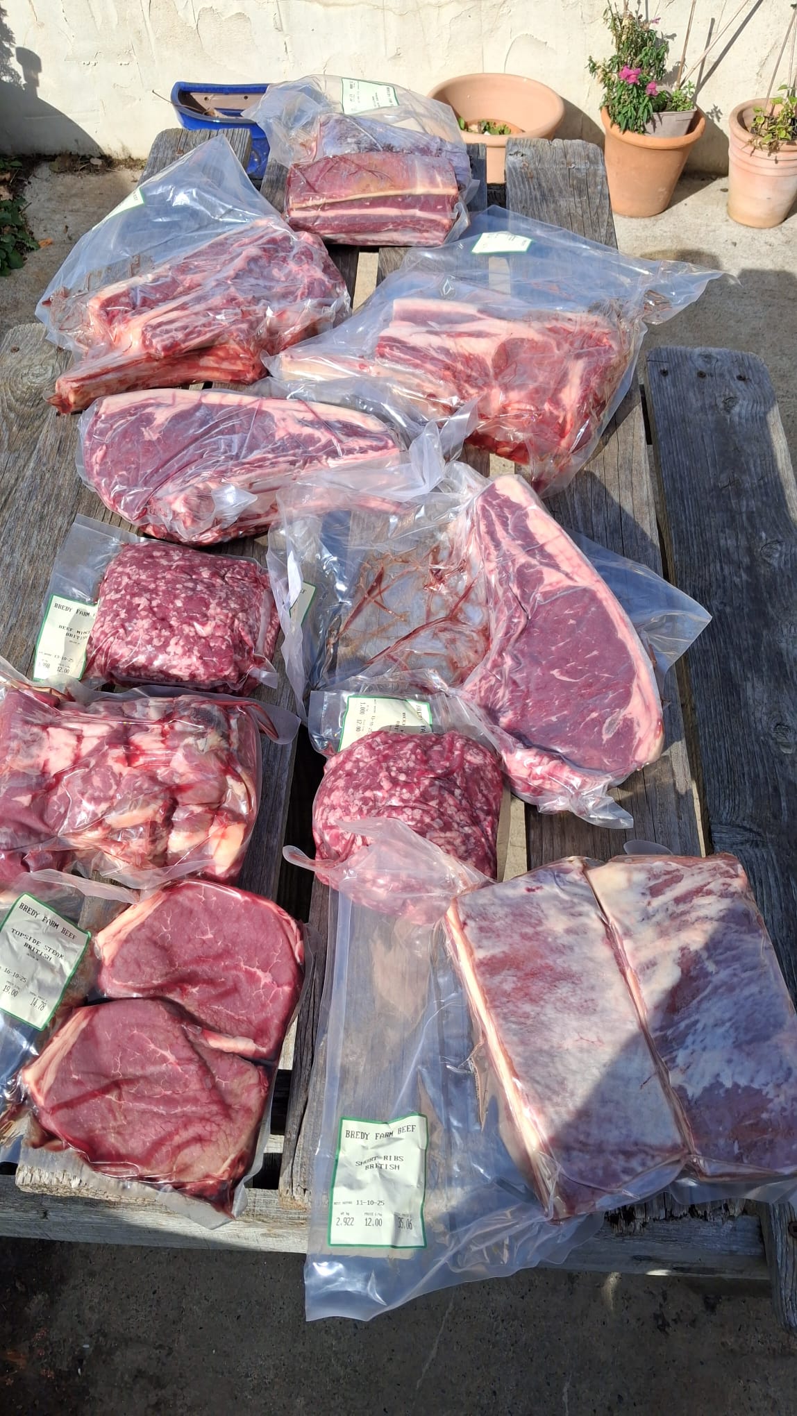 WhatsApp Image 2025-10-07 at 16.38.59 (10)