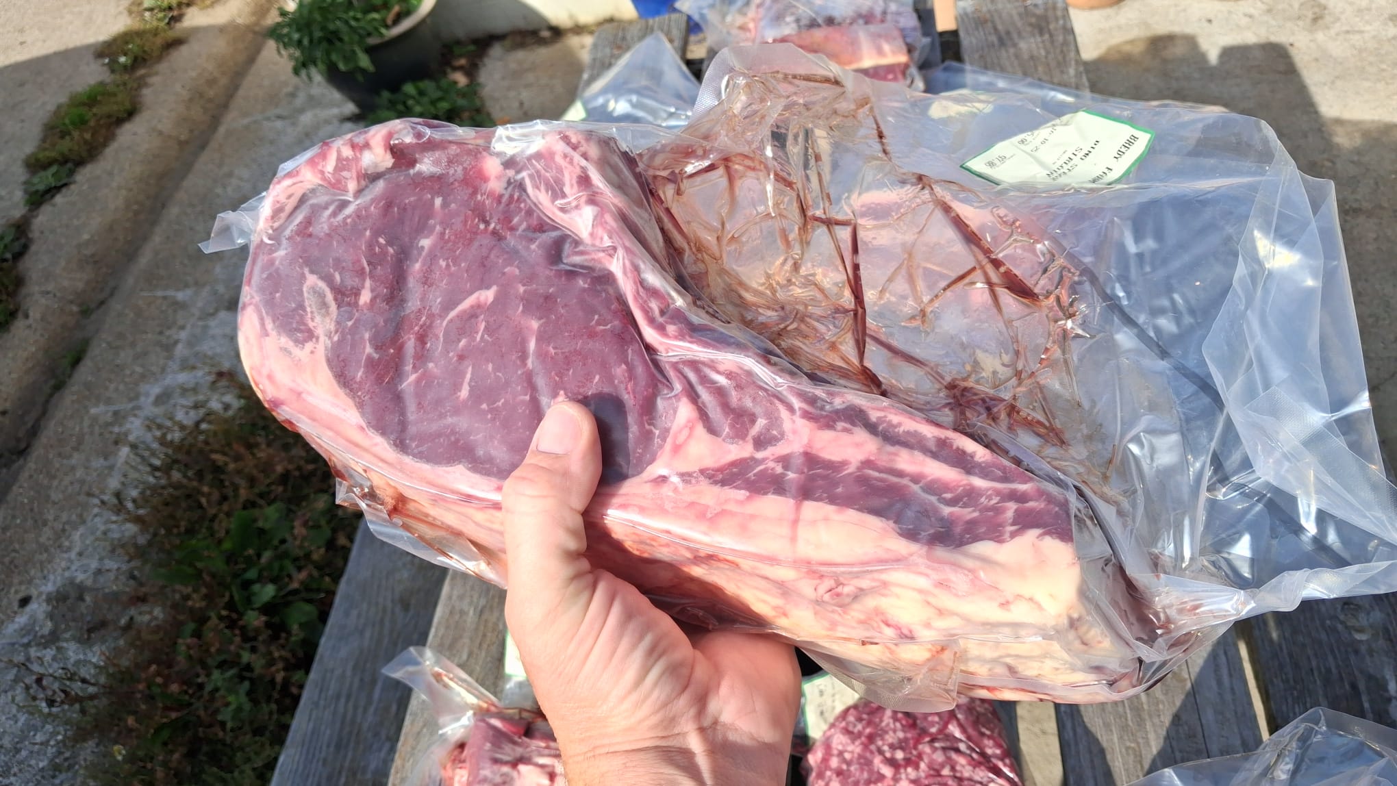 WhatsApp Image 2025-10-07 at 16.38.59 (7)